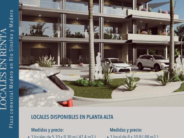 LOCALES EN RENTA PLAZA MADERO ESQUINA RÍO SINALOA