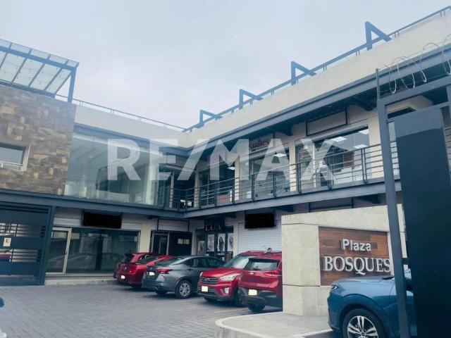 Locales en Renta, Plaza Bosques, Zinacantepec, Estado de México