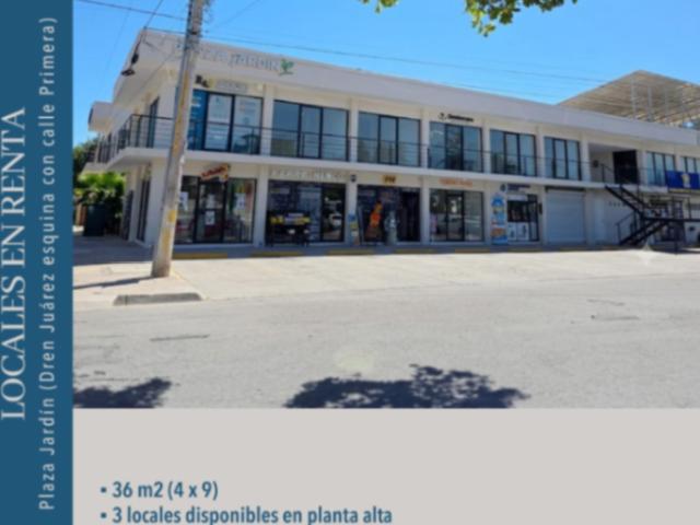 LOCALES EN RENTA PLAZA DREEN JUAREZ
