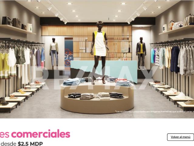 LOCALES VENTA SOBRE BERNARDO QUINTANA QUERETARO