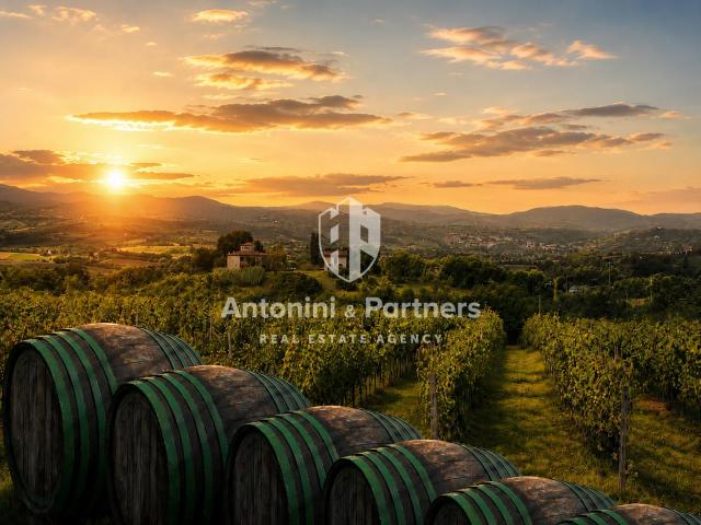 Località Turri 19 vani 907mq
