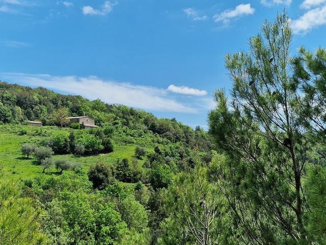 LOCALITA COLONNETTA 15 vani 940mq