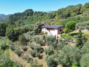 Località Pieve di Cerreto 3 12 vani 290mq