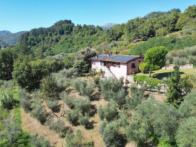 Località Pieve di Cerreto 3 12 vani 290mq