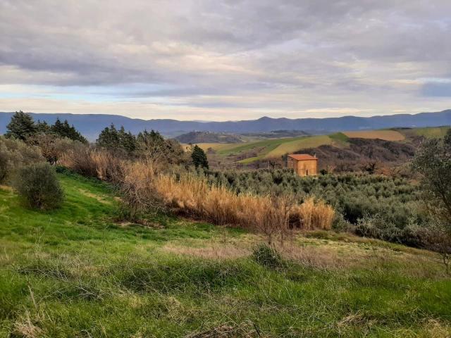 Località Pesciano snc 5 vani 266mq