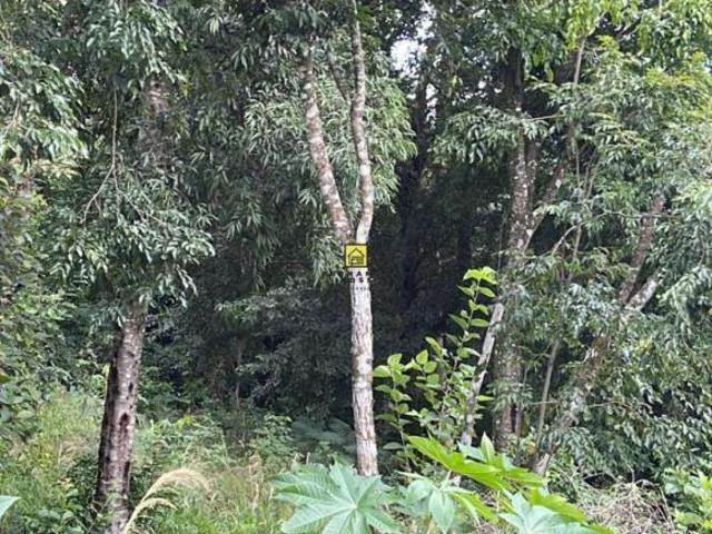 Localizado na subida de Lajeadinho, Bairro Viaduto, em Igrejinha! C