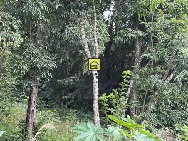 Localizado na subida de Lajeadinho, Bairro Viaduto, em Igrejinha! Com 1600m² de área total. Acesso t