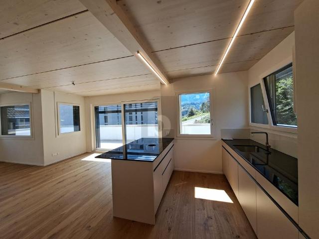 FUTURE ORIENTED ENERGY EFFICIENT DREAM HOME