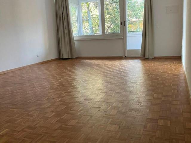 SPACIOUS 1.5 ROOM APARTMENT WITH KITCHEN AND SWIMMING POOL USE