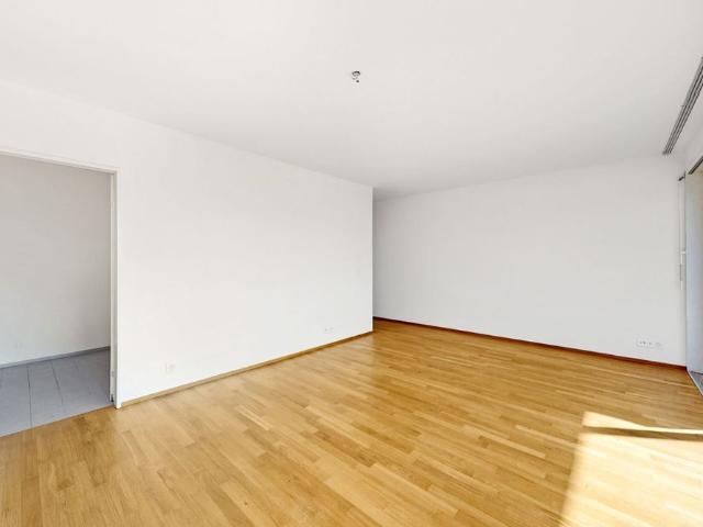 New year, new luck? A light filled apartment is looking for you