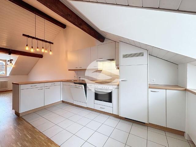 Charming 4 room apartment in the heart of Carouge