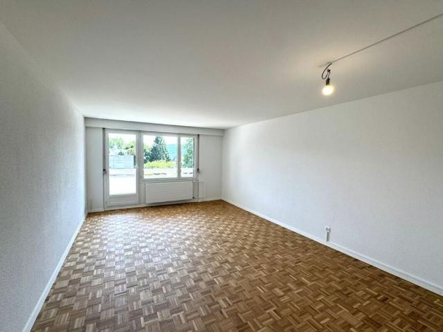 Renovated 4 room apartment with south facing balcony and underground parking in Greifensee