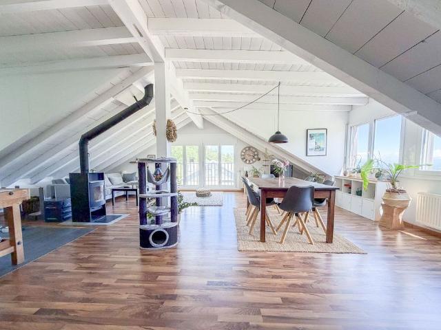Alps 29 – 2.5 room apartment, ~ 130 m2, attic, through apartment
