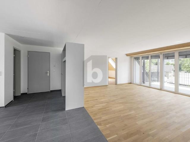 MODERN, SUSTAINABLE NEW CONSTRUCTION IN THE GREEN
