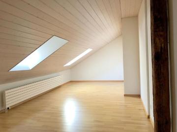 3.5 room, penthouse apartment with lift, in the heart of St. Gallen