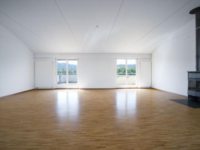 Attic apartment in Regensdorf