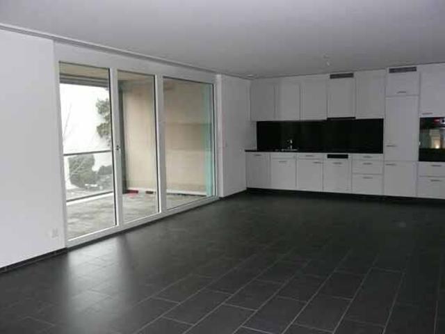 Spacious modern apartment in a central location