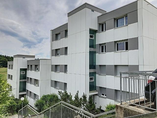 Spacious 3.5 room apartment completely renovated