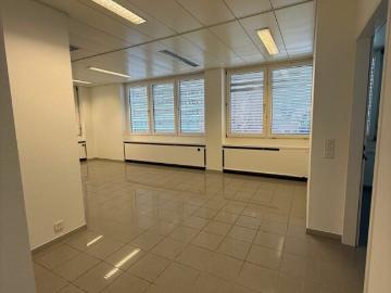 Minusio, Gemeinde Navegna, Bezirk Locarno, Tessin