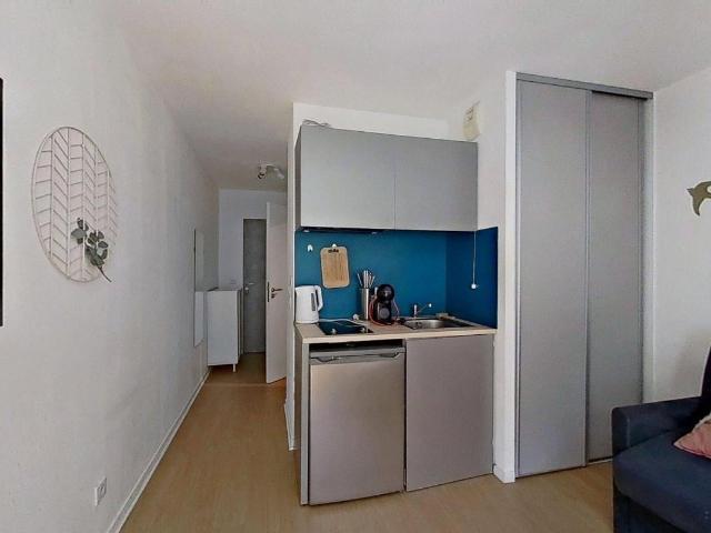 Location 157 Grande rue de Saint Clair Caluire et Cuire 69300 T1 Meublé 640 €CC Plusse