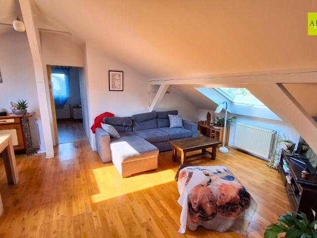 Location 2 pièces 50m2 sur les hauteurs d'ALTKIRCH