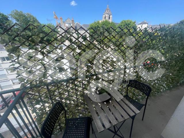 location t2 46 m² orleans 45000