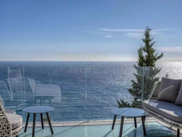 Location Villa Roquebrune Cap Martin 15 000 €/mois