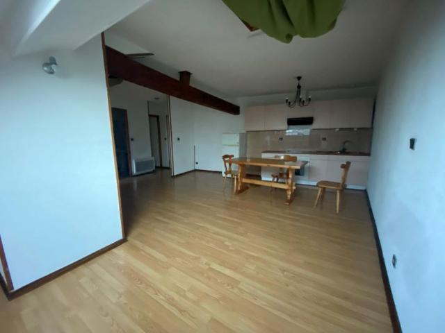 Location Appartement 42m² ST PIERRE D ALBIGNY 73250