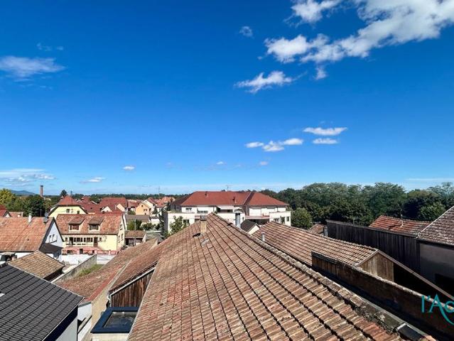 Location appartement 4 pièces, 77.30m², Ingersheim
