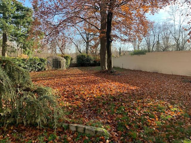 Location Appartement 4 pièces 123.4 m2 Saint Cyprien