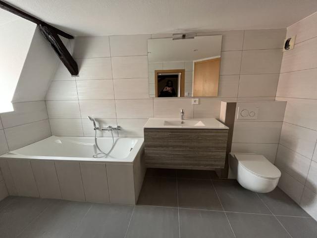 Location Appartement 4 pièces 152m² WISSEMBOURG 67160
