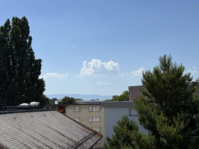 Location Appartement 4.5 pièces CHF 2'450. /mois 101 m2 | immobilier.ch