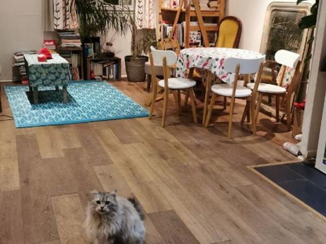 Location appartement, 55.75 m² T 3 à Paris 19, 1 902 €