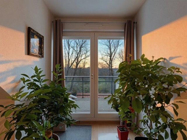 Location appartement, 61.89 m² T 3 à Dettwiller, 690 €