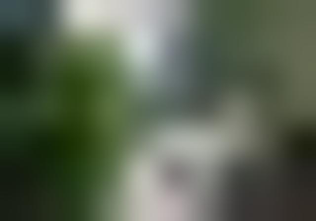 Location appartement 61 m² 3 pièces Gif sur Yvette 91190 | Procivis