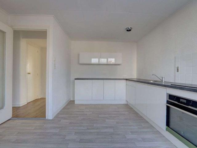 Location appartement 6 pièces Nancy 54