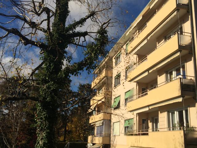 Location Appartement 6.5 pièces CHF 2'700. /mois | immobilier.ch