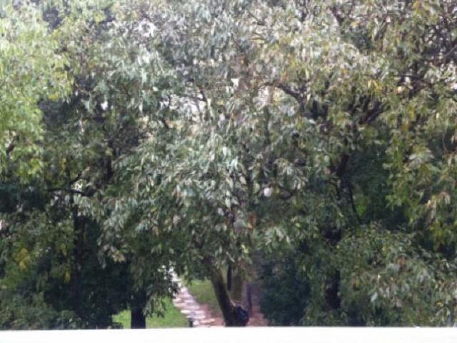 Location appartement 1 pièce Marseille 09 13009 869309