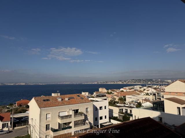 location appartement 1 pièce Marseille Ecole, commerce