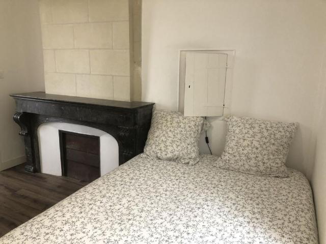 Location Appartement 1 pièce Meublé 23m² ANGERS 49100