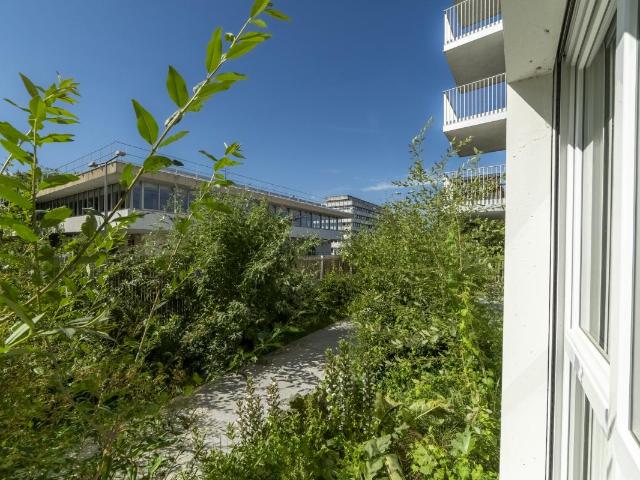 Location Appartement 1 pièce Meublé 20m² NANTES 44300