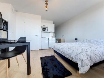Location Appartement 1 pièce Meublé 24m² STRASBOURG 67000