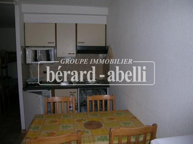 Location Appartement 1 pièce Meublé 28m² BRIANCON 05100