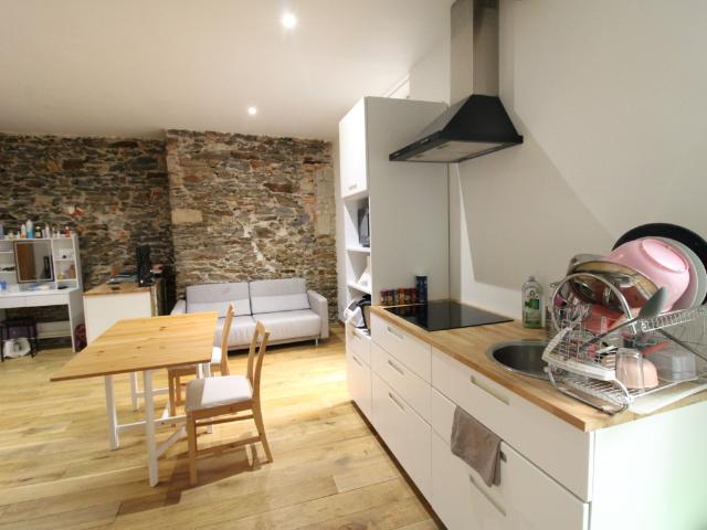 Location Appartement 1 pièce Meublé 31m² NANTES 44000