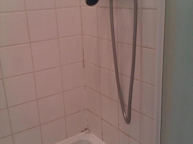 Location Appartement 1 pièce NANTES 44000
