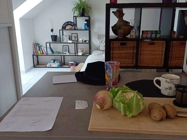 Location appartement 1 pièce Nantes Saint Jacques 44