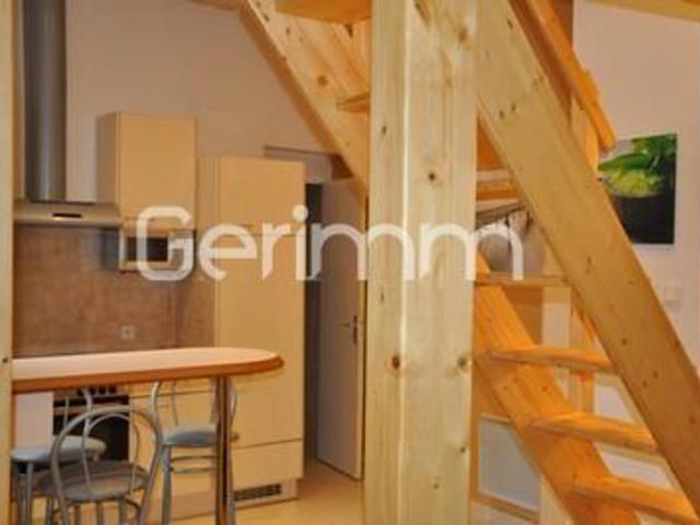 Location Appartement 1 pièce + cuisine 23,88 m²