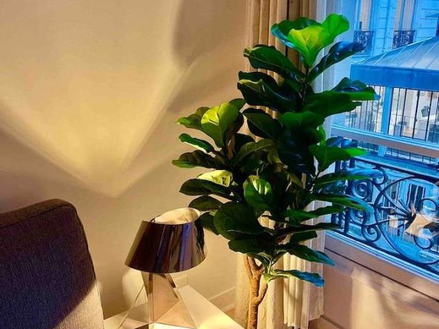 Location appartement 1 pièce Rennes Poterie 35