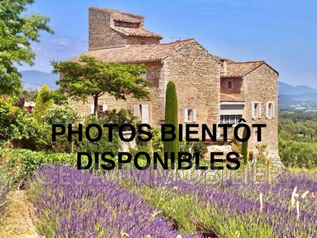 location appartement 1 Pièce s