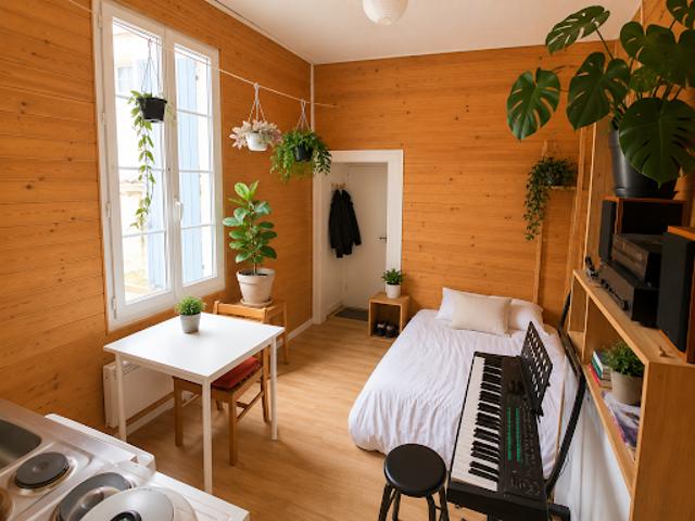 Location Appartement 1 pièce 17 m2 Angouleme
